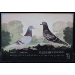 A Leighton studios Maesteg Two racing pigeons "Sharon's Pride" and "Pride of Tycoed" Bred and