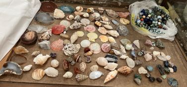 Assorted Marbles together with shells and rock samples