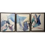 Peter Kitchell Human Limits A Triptych of abstract prints A set of three lithographs