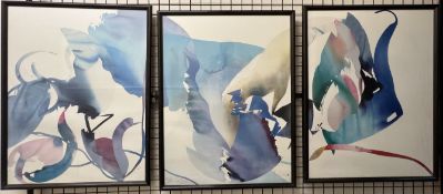 Peter Kitchell Human Limits A Triptych of abstract prints A set of three lithographs