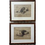 Roy Saunders Dreaming A sleeping pup An etching Signed and titled in pencil Together with another