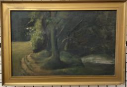 20th Century British School A woodland scene Oil on canvas Initialled D.Y.