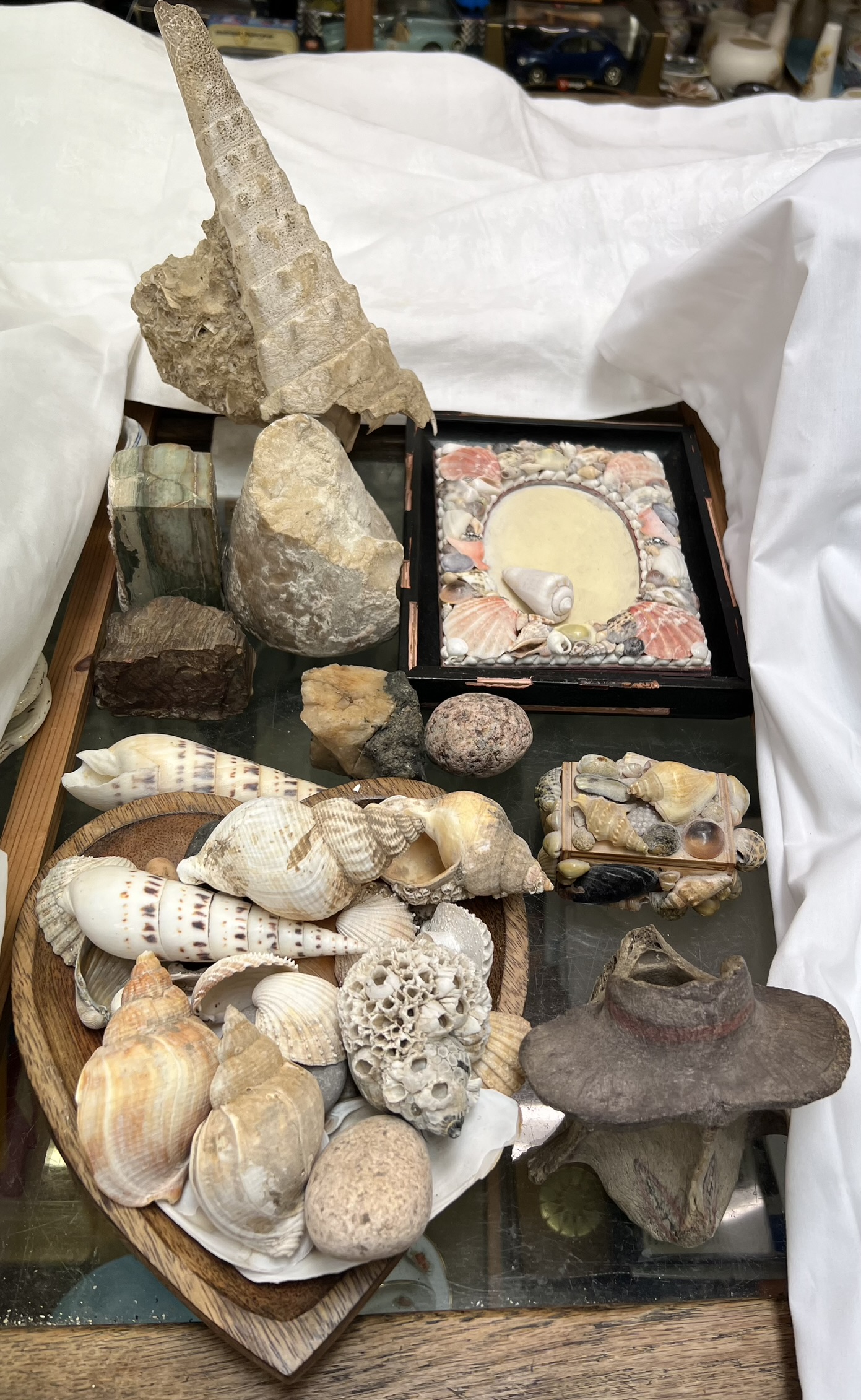 A shell encrusted picture frame together with other shells,