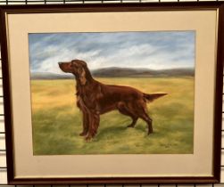 Grace Craig-Ward A red setter Pastels Signed and dated 1987