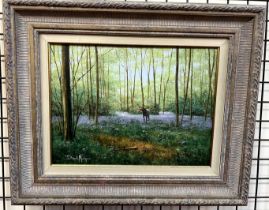 David Morgan A horse in a wooded landscape Oil on canvas Signed 29 x 39cm