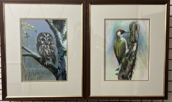 Desmund Leeke Study of an owl Watercolour Signed Together with another of a woodpecker