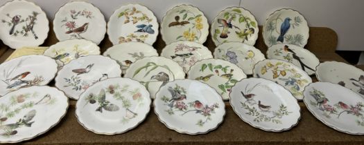 Twenty Two Royal Worcester Birds of Dorothy Doughty Dessert plates