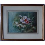A Connelly Still life study of orchids in a wooded landscape Watercolour Signed 27.5 x 37.