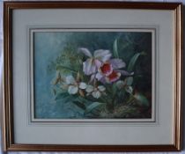 A Connelly Still life study of orchids in a wooded landscape Watercolour Signed 27.5 x 37.