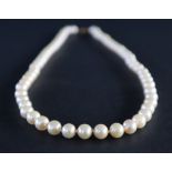 A pearl necklace comprising sixty regular pearls each approximately 6mm to a 9ct gold clasp,