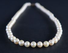 A pearl necklace comprising sixty regular pearls each approximately 6mm to a 9ct gold clasp,
