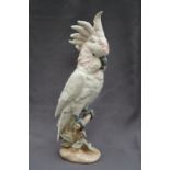 A Royal Dux porcelain figure of a cockatoo perched on a branch with leaves and an oval base,