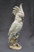 A Royal Dux porcelain figure of a cockatoo perched on a branch with leaves and an oval base,