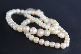 A pearl necklace with eighty three graduated pearls to a silver clasp,