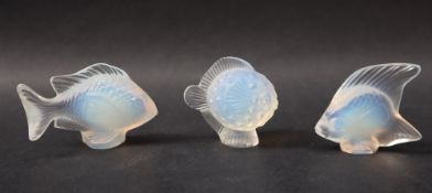 A set of three Lalique opaque glass fish, including a blow fish an angel fish and another,