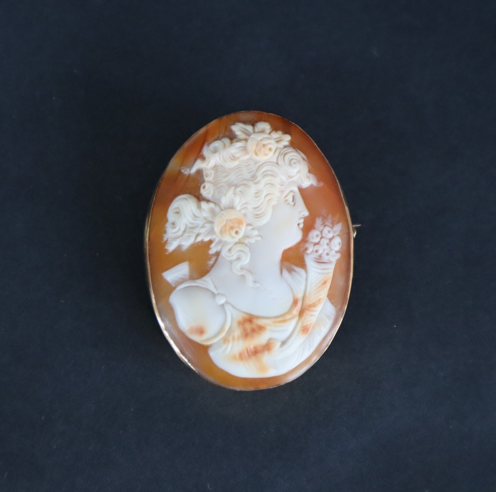 A 15ct gold mounted shell cameo brooch,