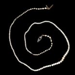 SINGLE ROW PEARL NECKLACE