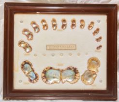 LARGE CULTURED PEARL PICTURE FRAME, 4 YEARS