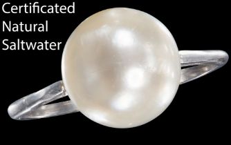 LARGE CERTIFICATED NATURAL SALTWATER PEARL RING
