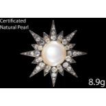 VICTORIAN CERTIFICATED NATURAL PEARL AND DIAMOND STAR BROOCH/PENDANT