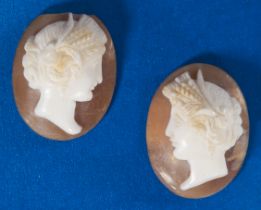 2 CARVED SHELL CAMEO'S