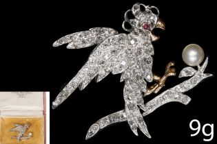 ATTRACTIVE DIAMOND AND PEARL PARROT BROOCH