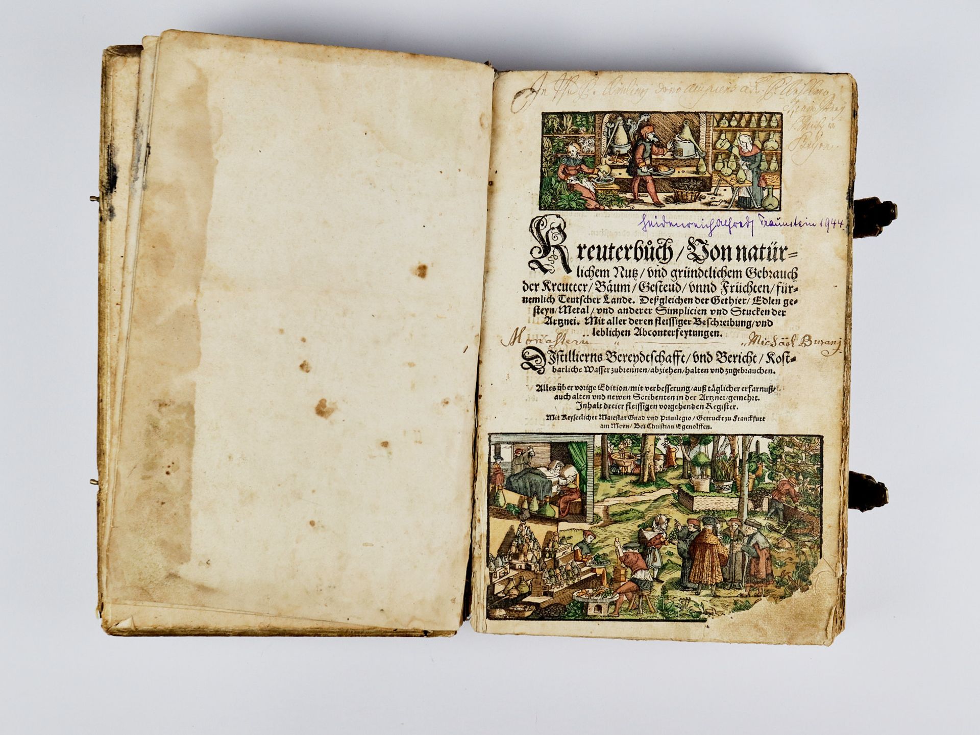 Rößlin Eucharius "Kreuterbuch"