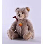 Steiff Teddy Nr. 010859