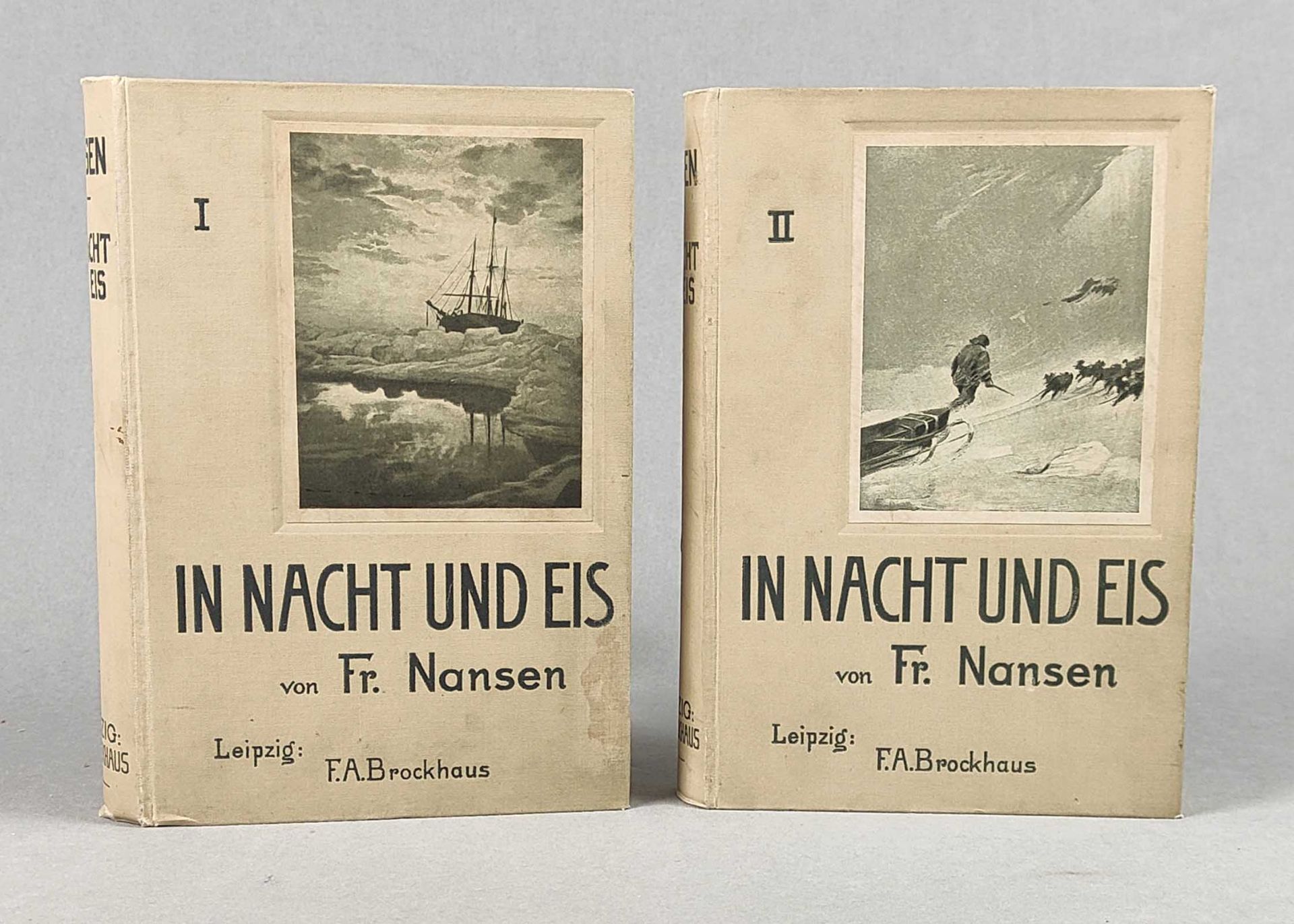 In Nacht und Eis 1893/96 2 Bände