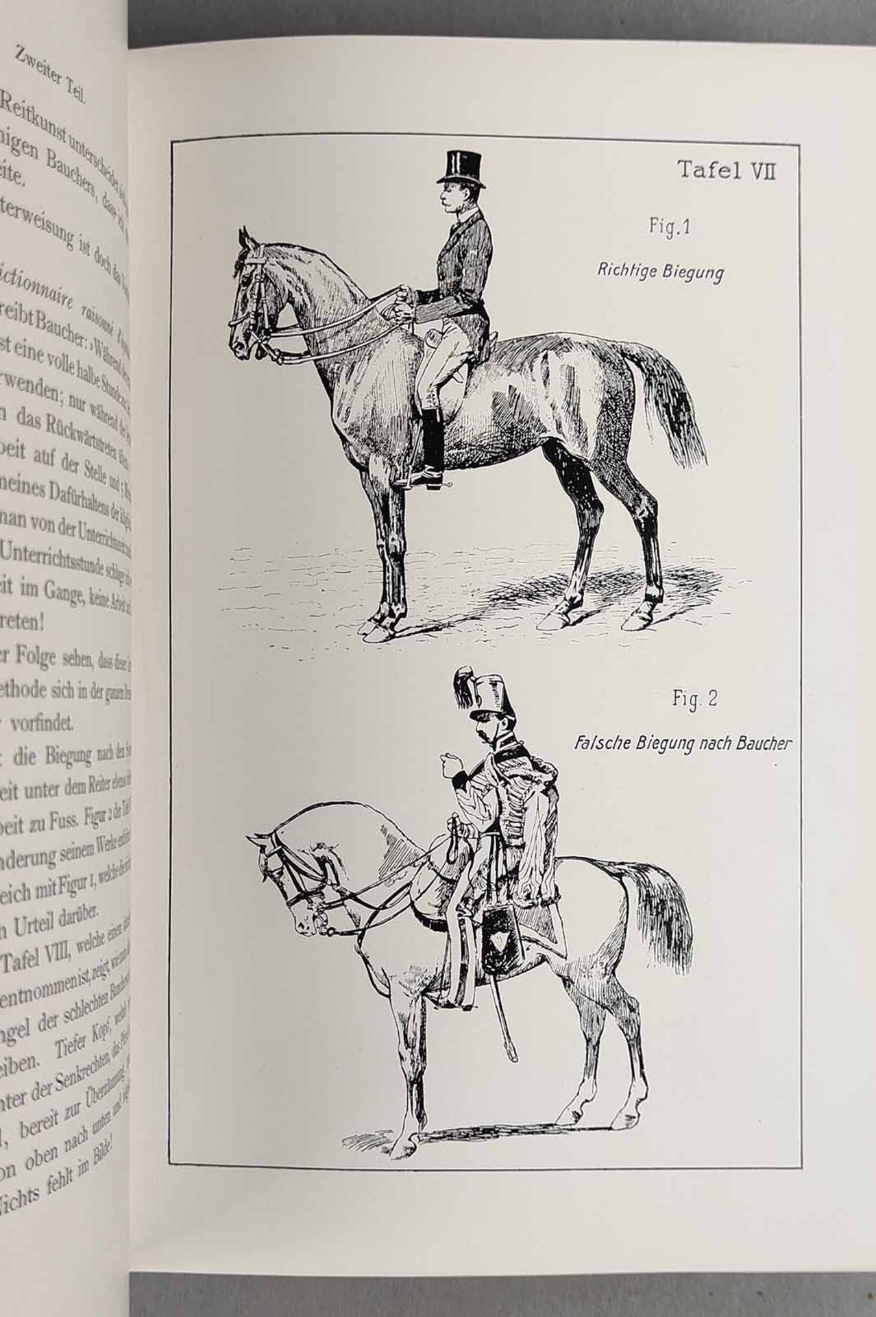 Grundsätze der Dressur und Reitkunst - Bild 3 aus 3