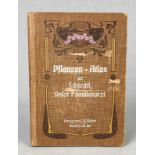 Pflanzen - Atlas 1909
