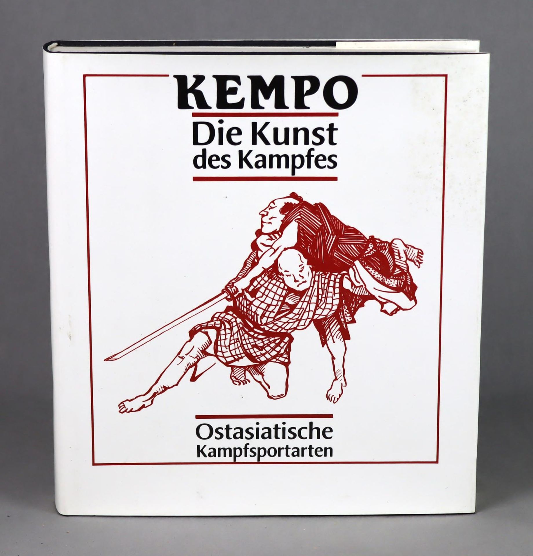 Die Kunst des Kampfes