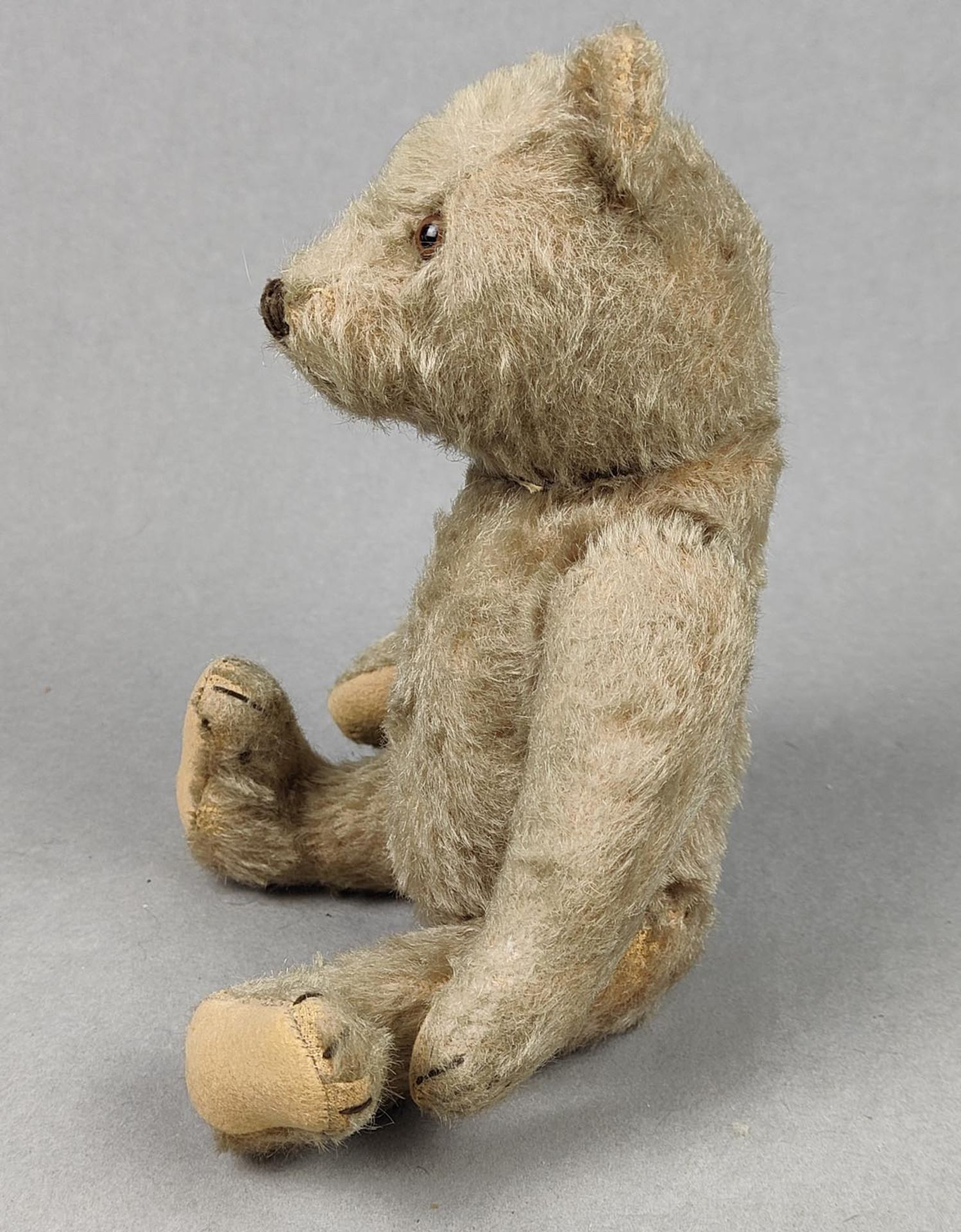 Steiff Teddy 1920er Jahre - Bild 2 aus 2