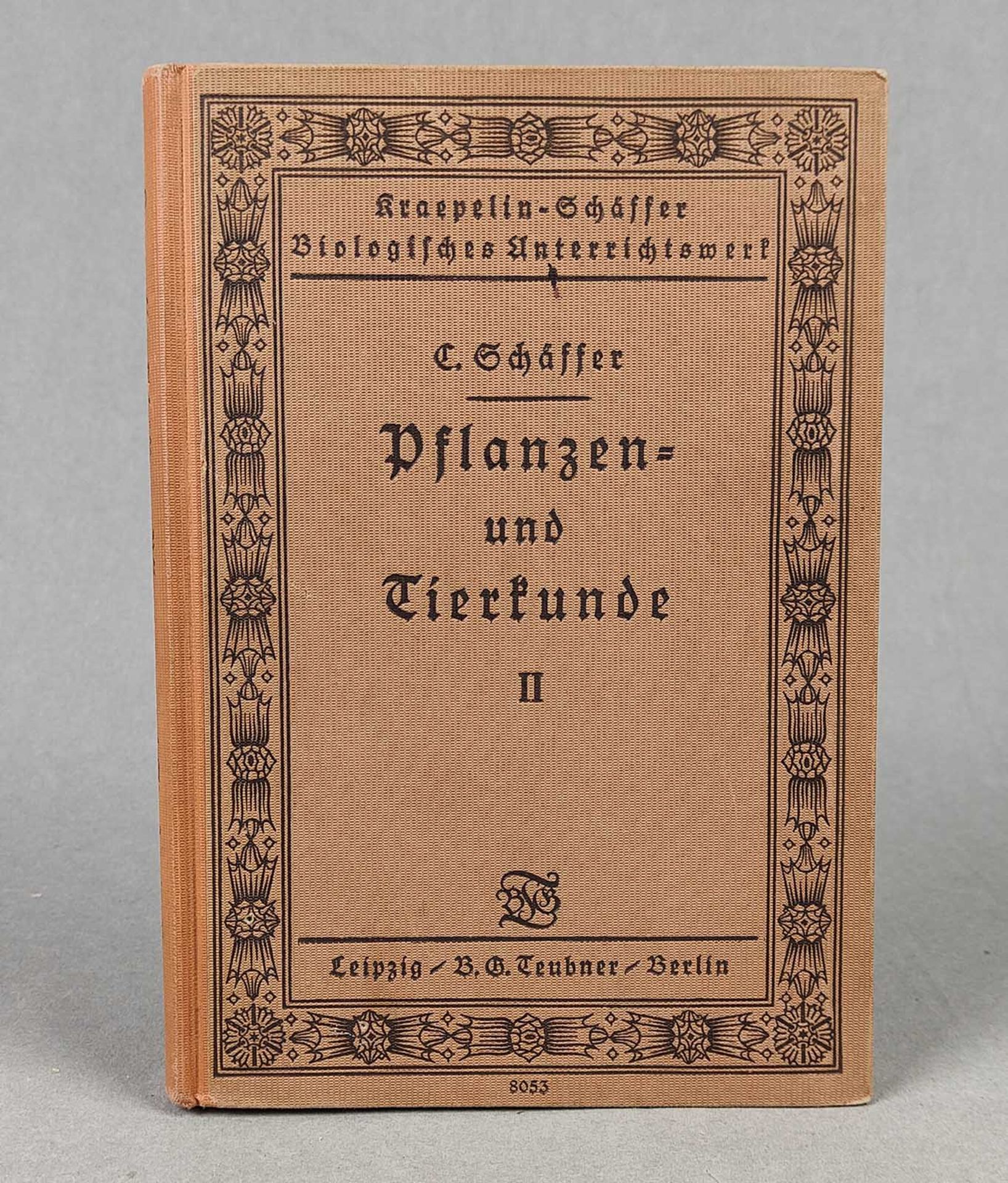 Pflanzen- und Tierkunde 1935