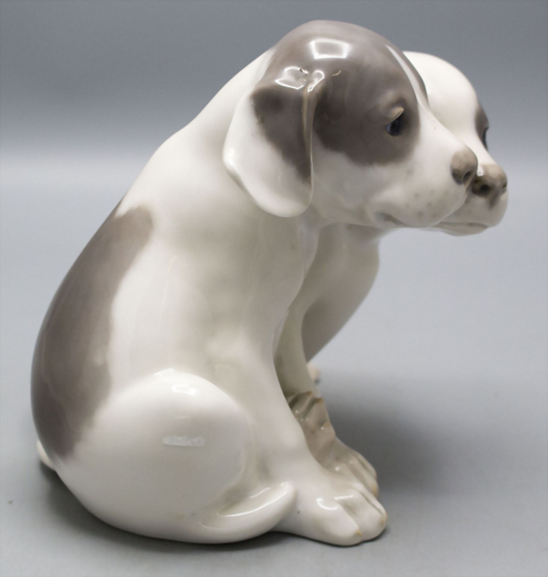 Paar Pointer Welpen / A sitting pair of pointer puppies, Eric Nielsen, Royal Copenhagen, vor 1923 - Image 4 of 5