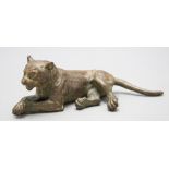 Bronzefigur einer liegenden Raubkatze / Puma / A bronze figure of a lying big cat, wohl Wien, ...