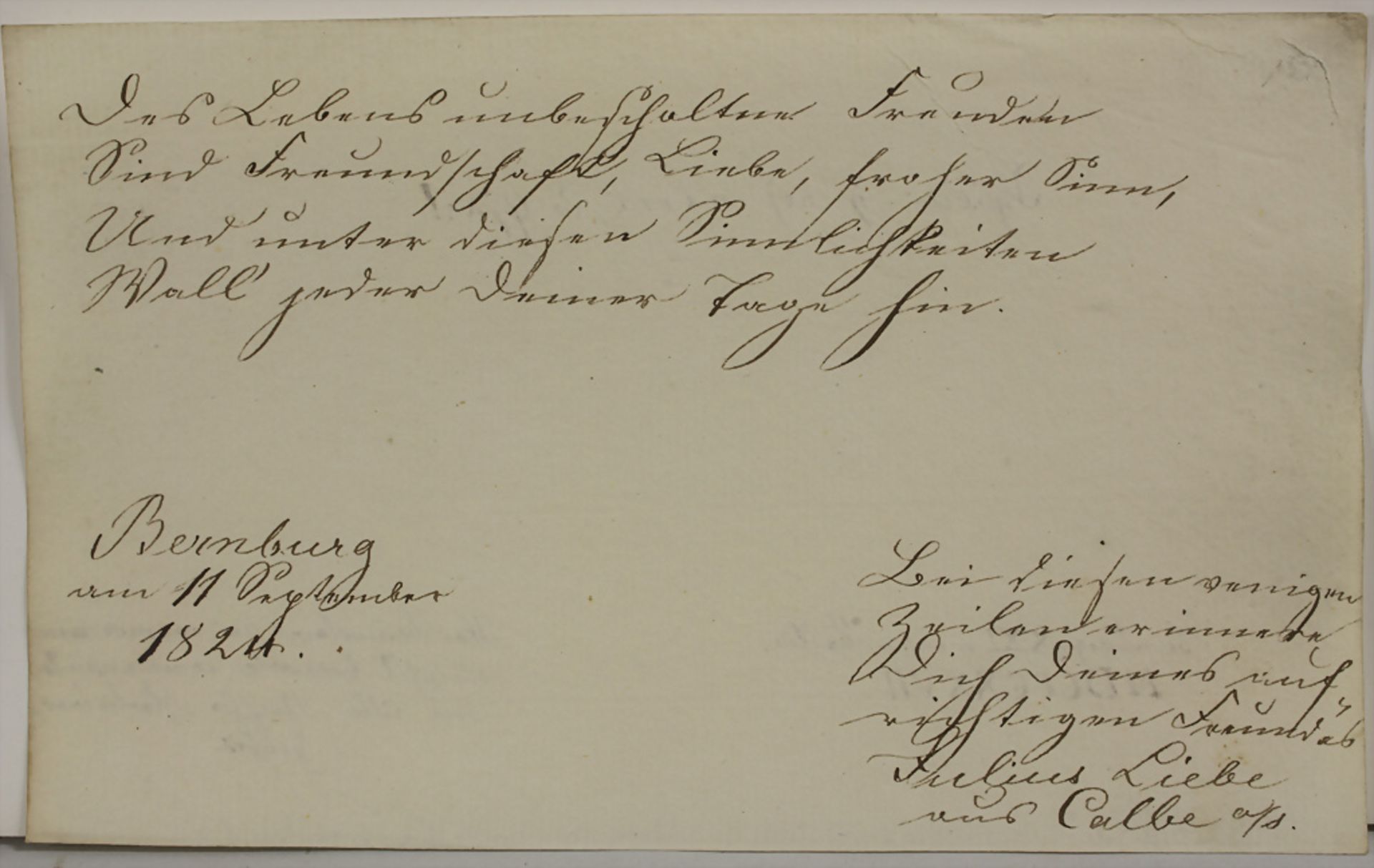 Konvolut aus 31 Stammbuchblättern der Frankonia-Verbindung, Bernburg, um 1820 - Bild 8 aus 25