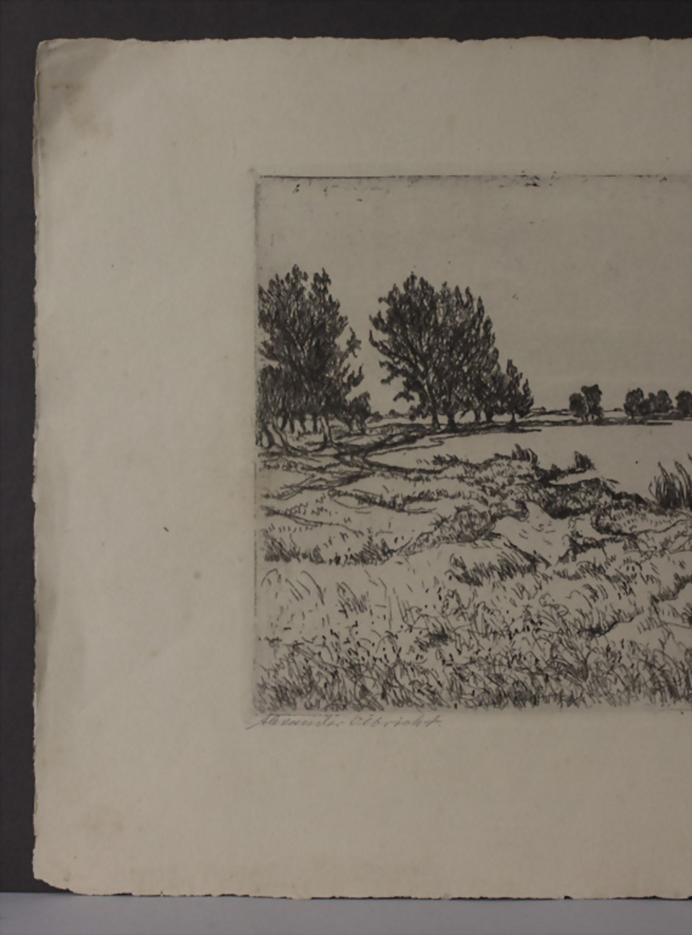 Alexander Olbricht (1876-1942), 'Seelandschaft mit Schilf und Bäumen' / 'A seascape with reed ... - Bild 4 aus 5