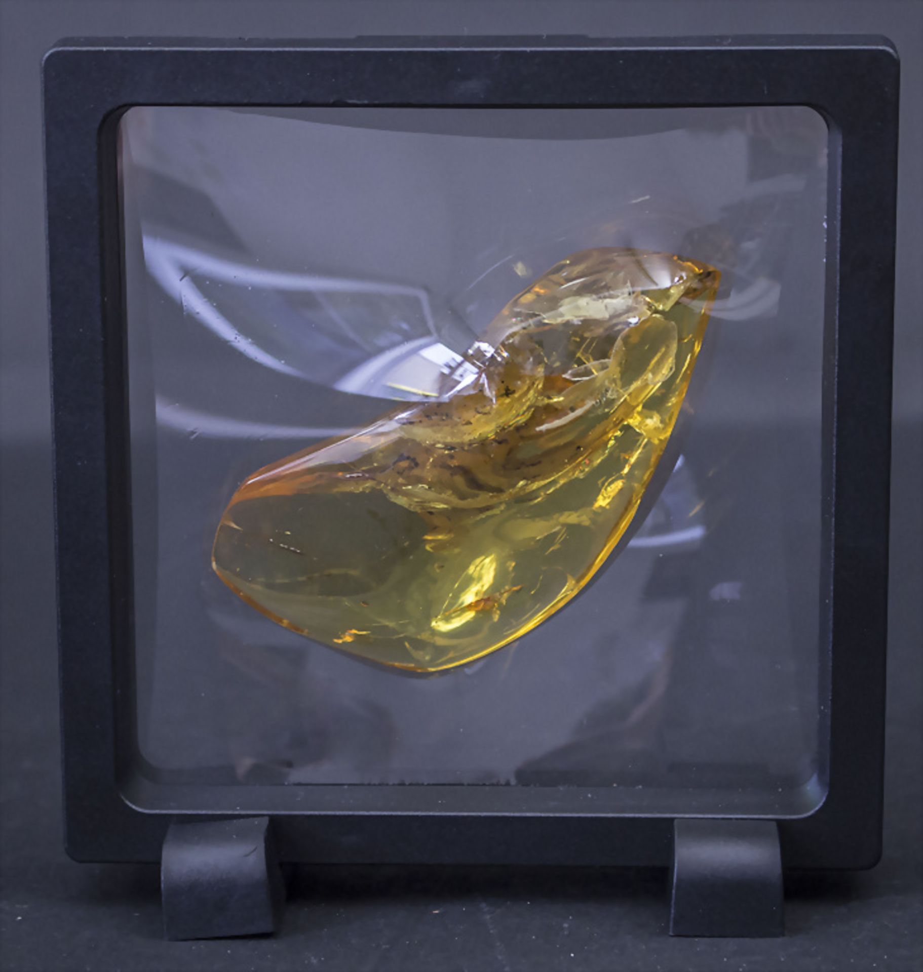 Bernstein mit Insekt / Amber with insect - Image 2 of 3