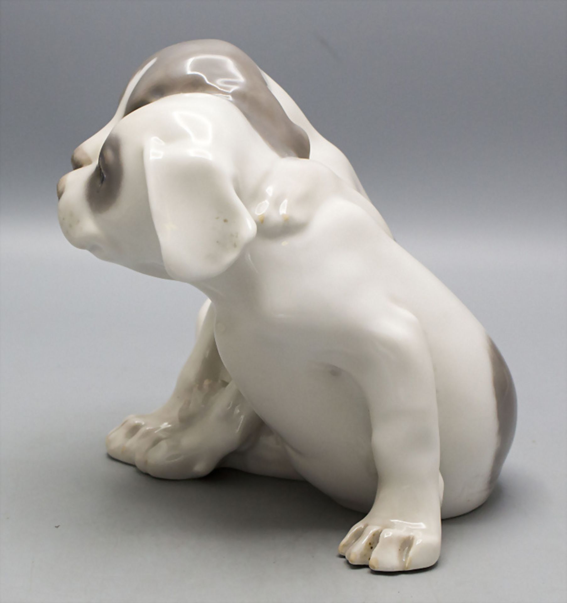 Paar Pointer Welpen / A sitting pair of pointer puppies, Eric Nielsen, Royal Copenhagen, vor 1923 - Image 2 of 5