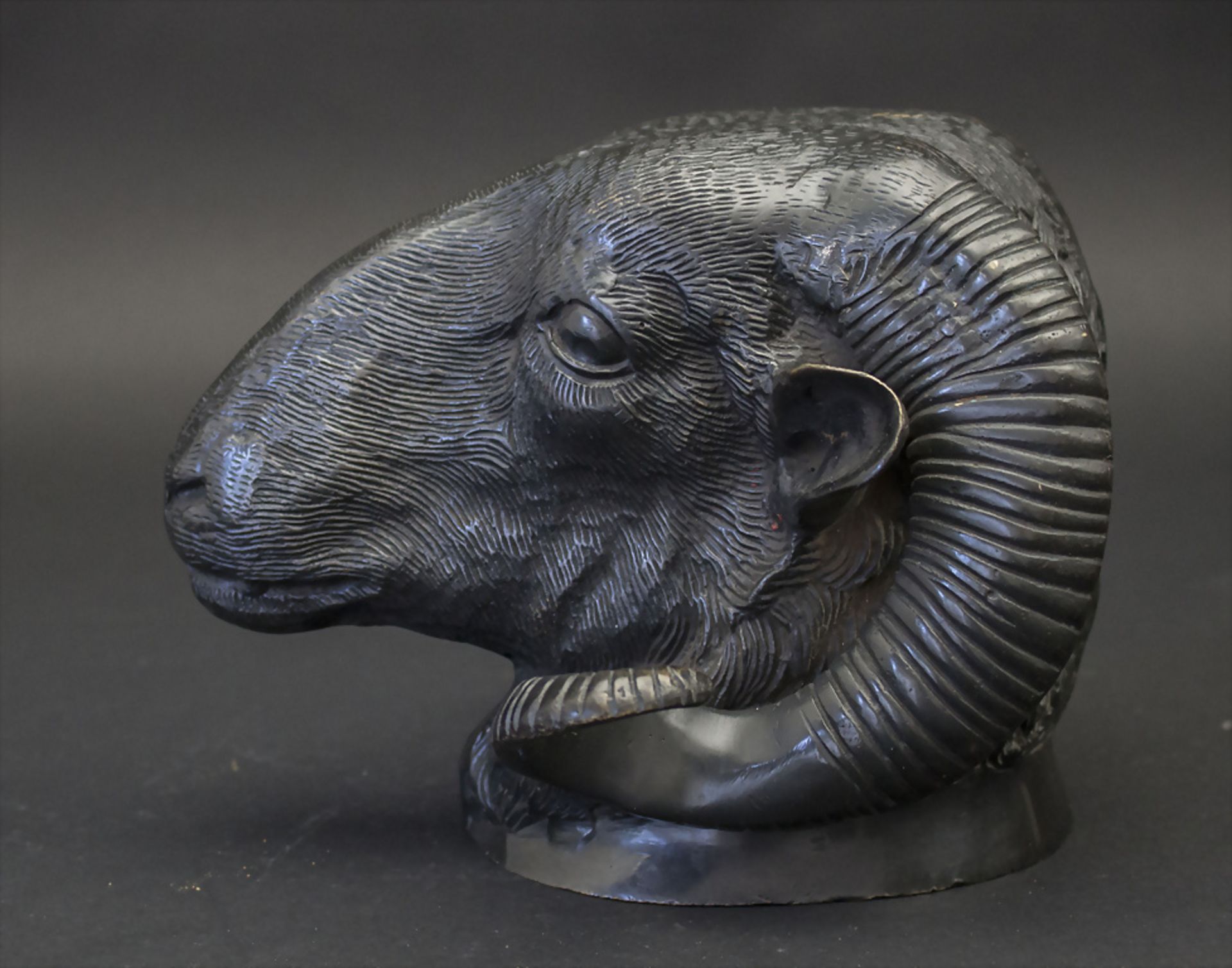 Bronzeplastik Widderkopf / A bronze sculpture of a ram's head, Anfang 20. Jh. - Bild 2 aus 4