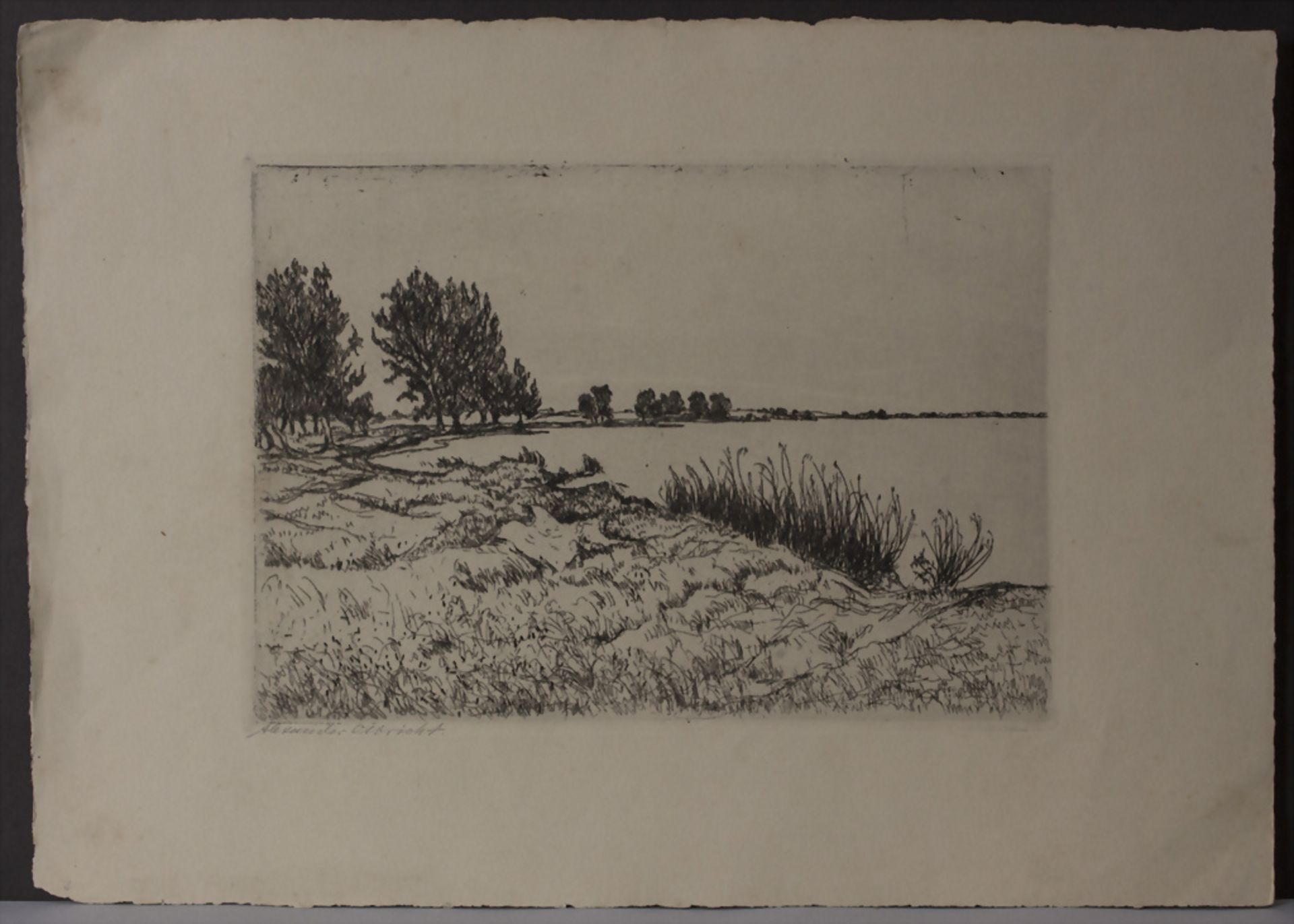 Alexander Olbricht (1876-1942), 'Seelandschaft mit Schilf und Bäumen' / 'A seascape with reed ... - Image 2 of 5