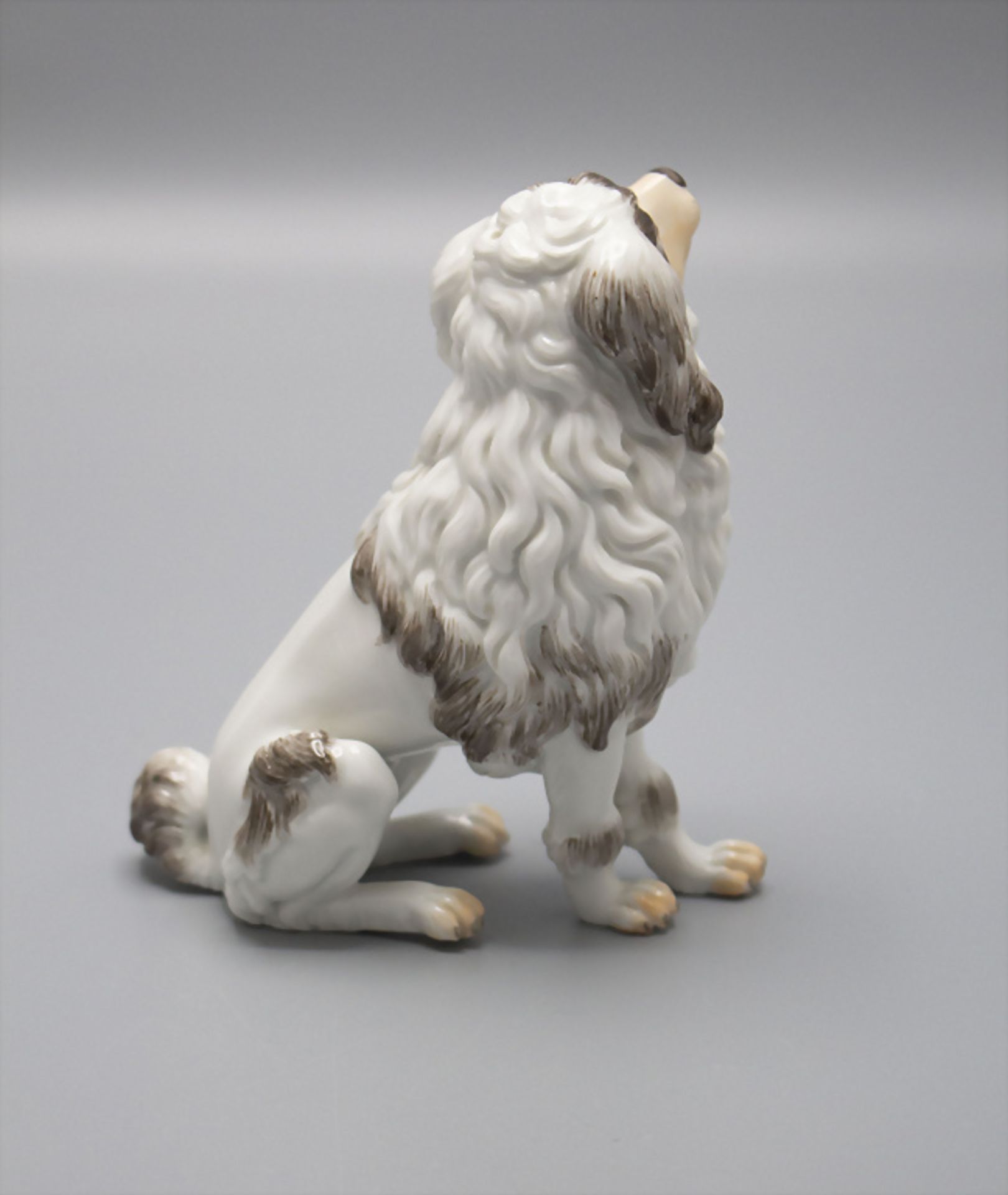 Sitzender Pudel / A sitting poodle, Johann Daniel Schöne, Meissen, 2. Hälfte 20. Jh. - Bild 4 aus 5