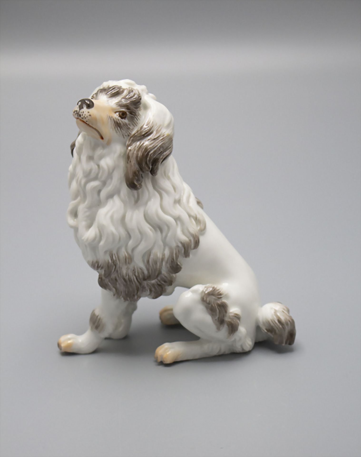 Sitzender Pudel / A sitting poodle, Johann Daniel Schöne, Meissen, 2. Hälfte 20. Jh. - Bild 2 aus 5