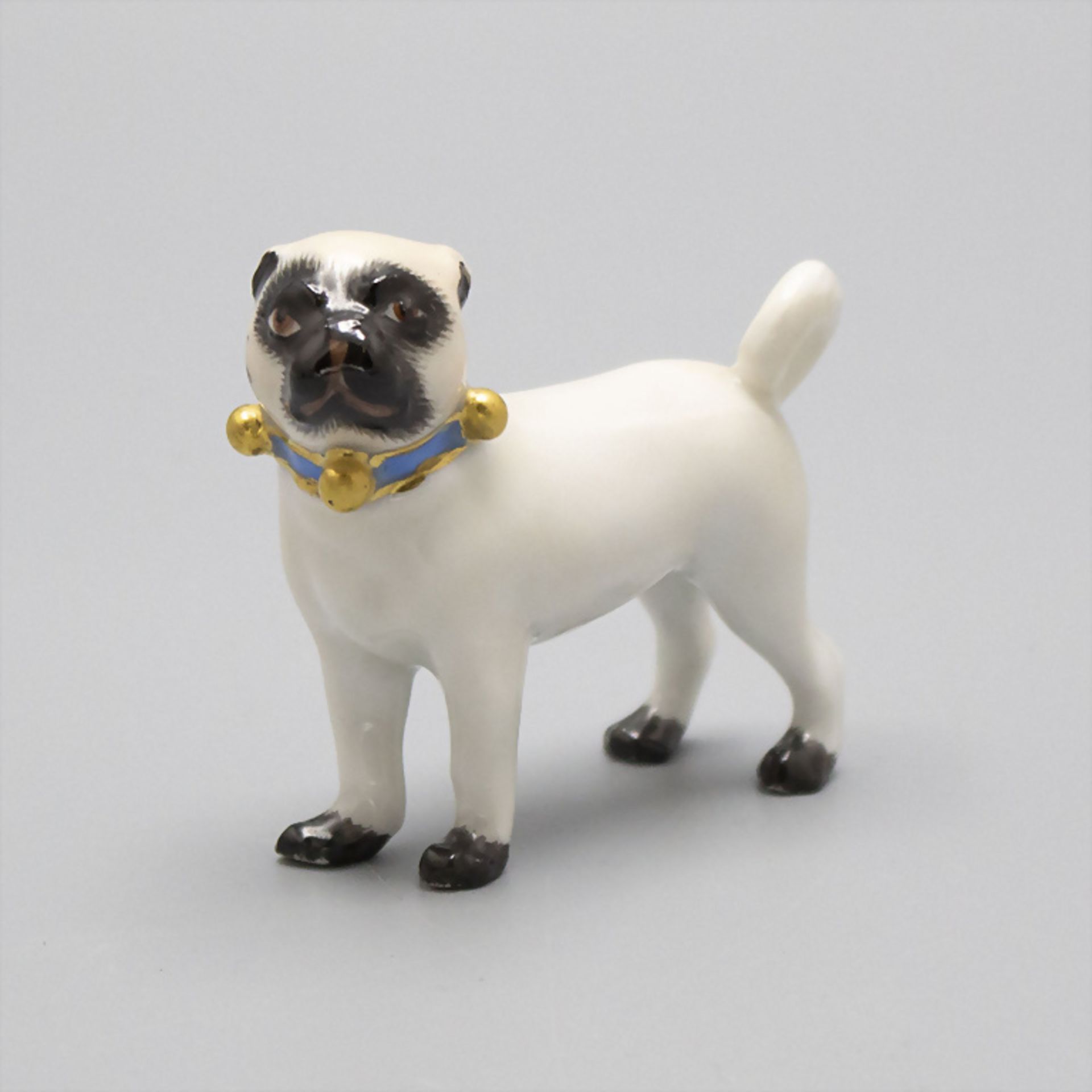 Mops mit blauem Halsband / A pug dog with a blue collar, Meissen, Mitte 20. Jh.