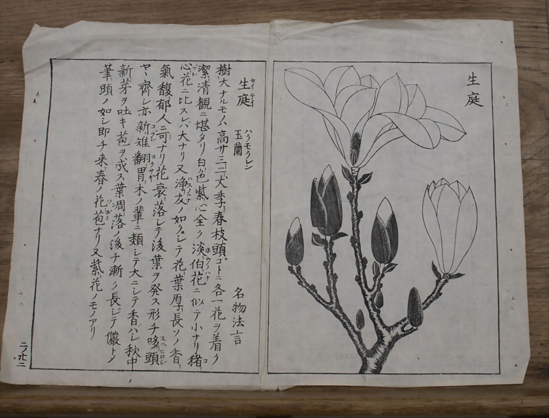 Konvolut Graphiken / A collection of five prints, Japan, 19. Jh. - Image 2 of 6