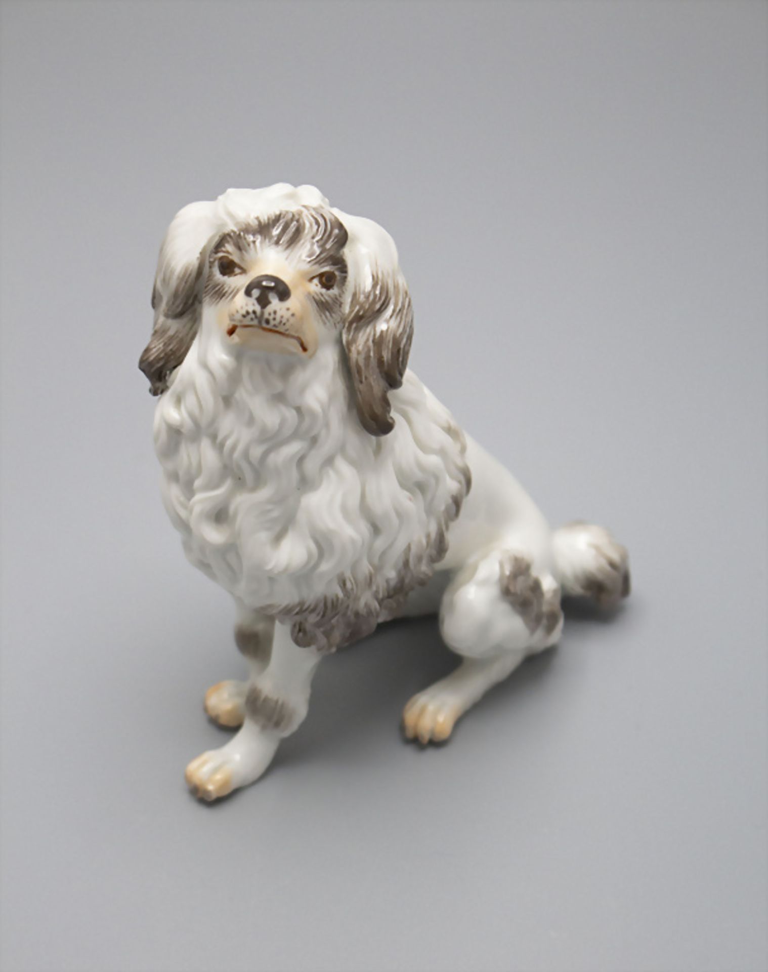 Sitzender Pudel / A sitting poodle, Johann Daniel Schöne, Meissen, 2. Hälfte 20. Jh.