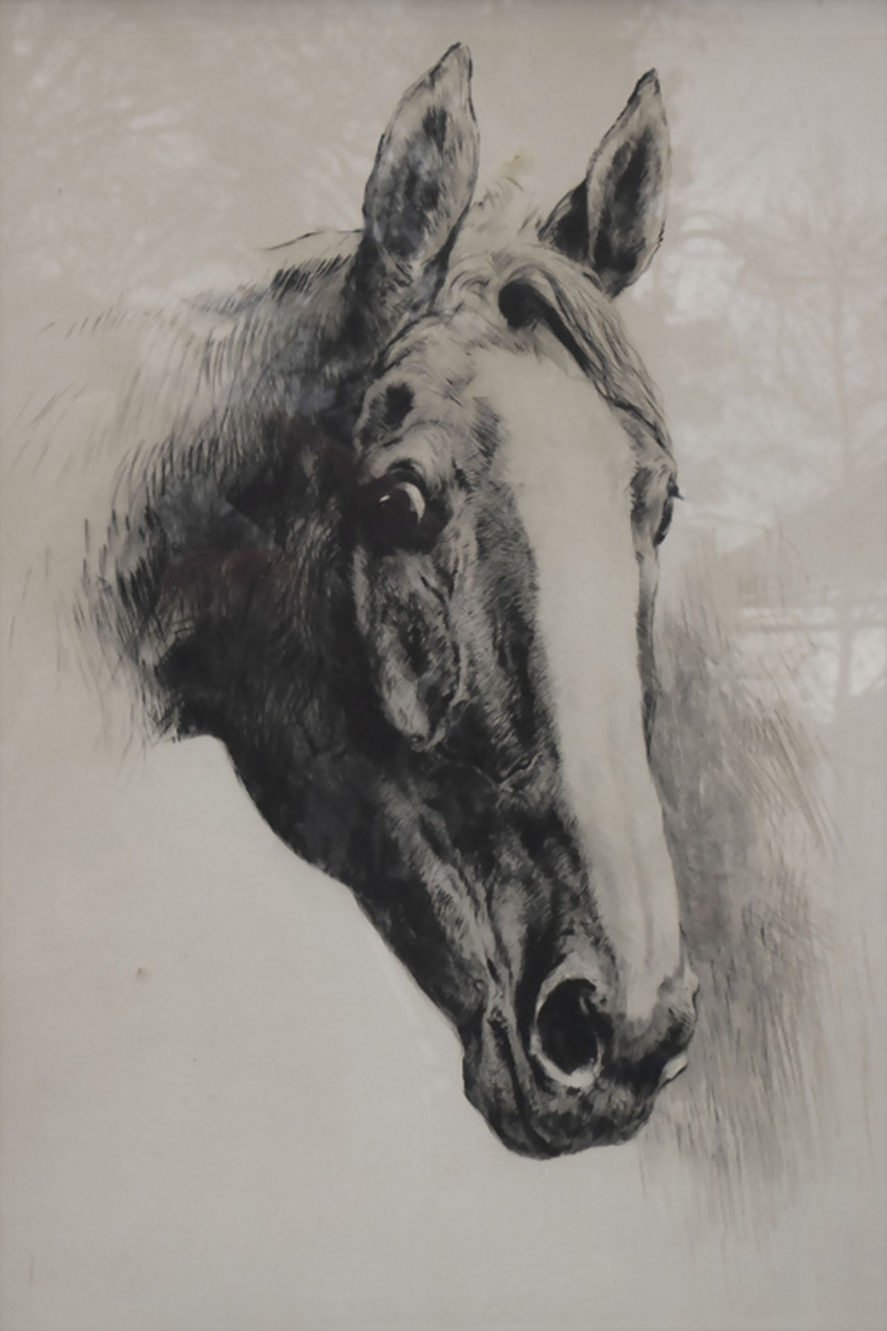 Kurt MEYER-EBERHARDT (1895-1977), 'Lauschender Pferdekopf' / 'Listening horse head', 20. Jh. - Bild 4 aus 6