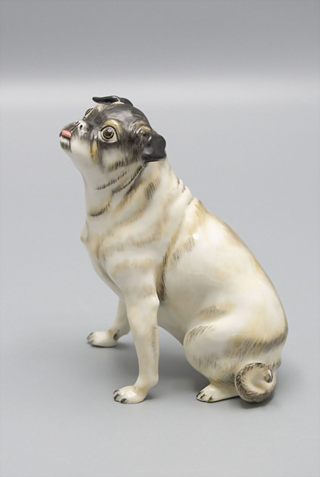 Sitzender Mops mit eigenwilligem Blick / A sitting pug dog, Nymphenburg, 1929 - Bild 3 aus 6