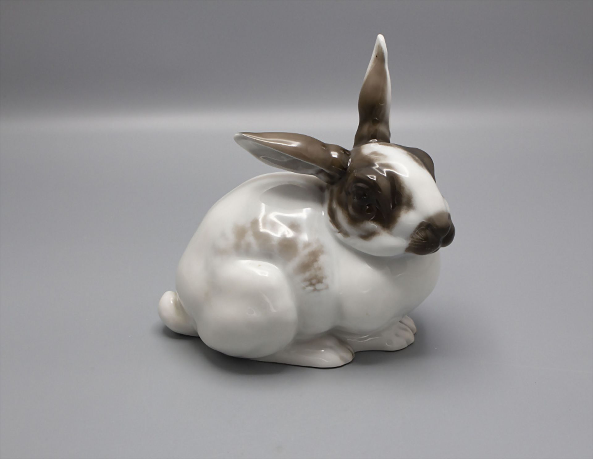 Porzellanhase / A porcelain rabbit, Karl Himmelsstoss (1872-1967), Rosenthal, Selb, um 1920